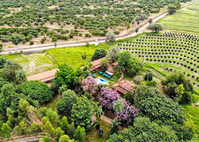 Palmeiras Hotel Fazenda Brotas